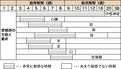 妊婦 溝 落ち 痛い